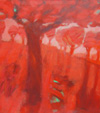 Eucalyptuses, 1999