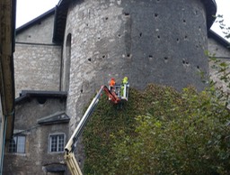 A Church Being Shaved