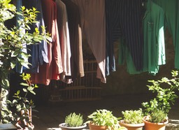 A Laundry day