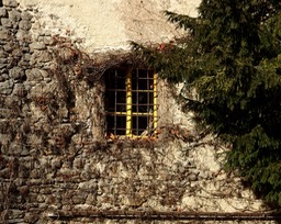 A Yellow window