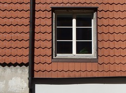 An Old window With An Indoor Plant