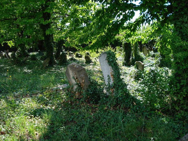 Cemetary Kounice