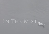 In The Mist th