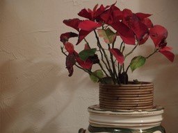 Nature Morte II