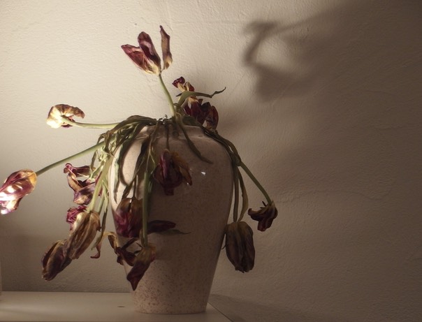 Nature morte