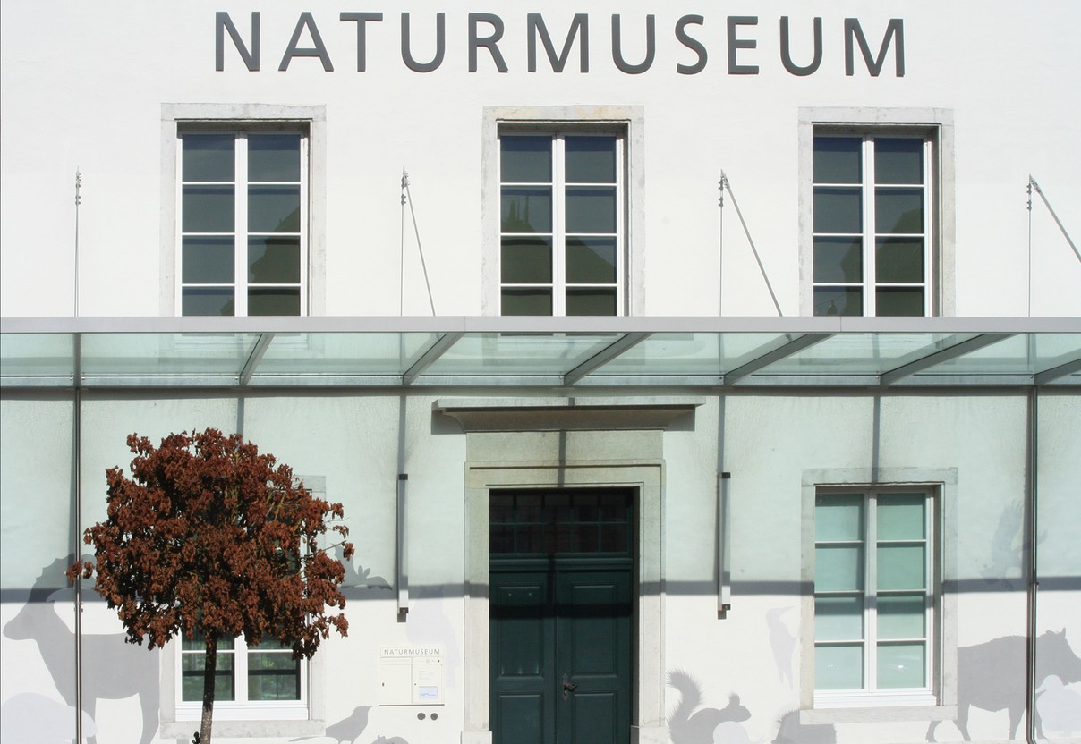 Naturmuseum