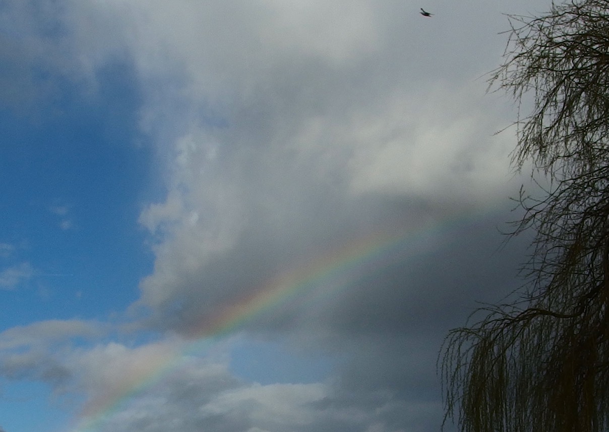 regenbogen crop