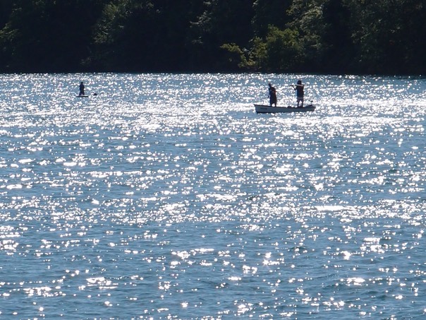 Sunday Morning On The Aare