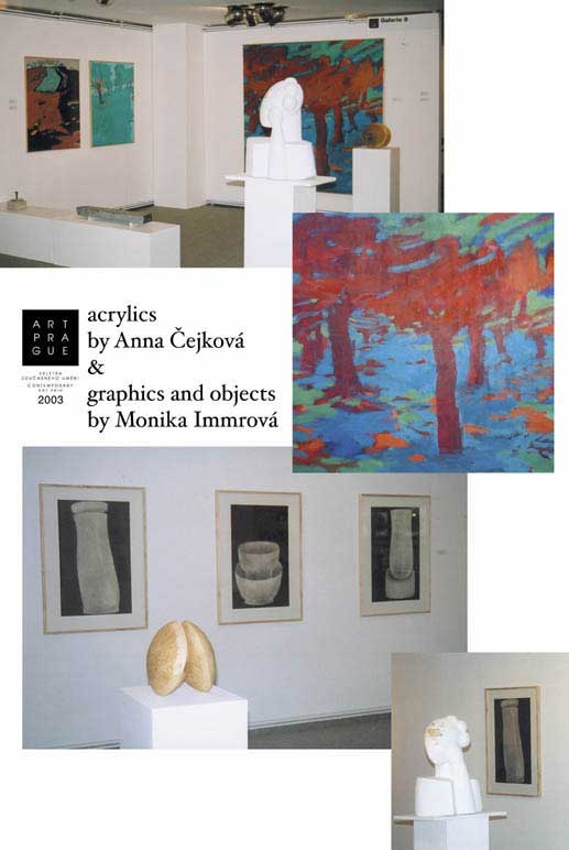 The Construction/Konstrukce'1993