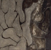 Asphalt, 2000 