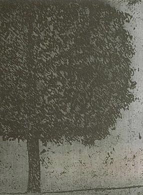 The Tree, '86